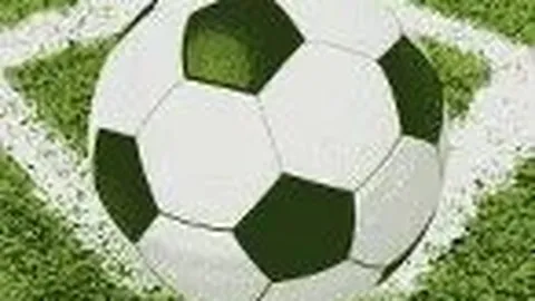 加拿大奥委会宣布：奥运如期举行则将缺席参赛