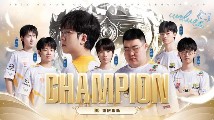 他们追求短